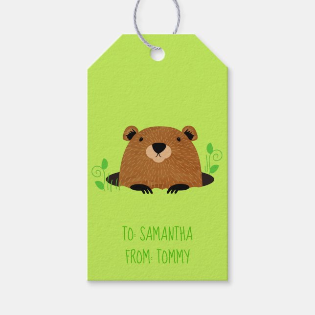 Étiquettes-cadeau Adorable Motif de la marmotte de bois (Devant)