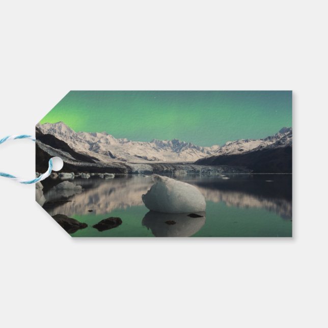 Étiquettes-cadeau Âge de glace Aurora (Dos Horizontal)