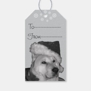 Étiquettes-cadeau Akita mignon chez le chien rouge de Noël de