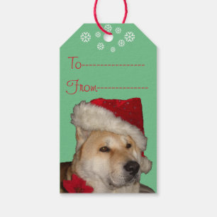 Étiquettes-cadeau Akita mignon chez le chien rouge de Noël de