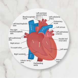 Étiquettes Cadeau Anatomie cardiaque
