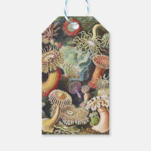 Étiquettes-cadeau Anémones de mer de Haeckel Collage d'art de la vie
