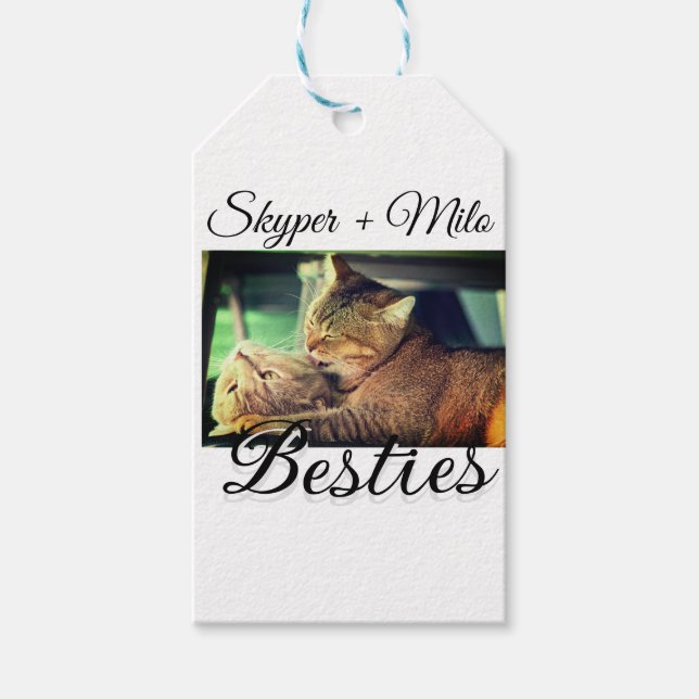 Étiquettes-cadeau Animaux de compagnie amis besties ajouter nom anim (Devant)