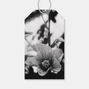 Étiquettes-cadeau Anniversaire noir et blanc de la fleur d'Abutilon
