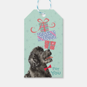 Étiquettes-cadeau Anniversaire Présente Portugais Water Dog Cadeau 