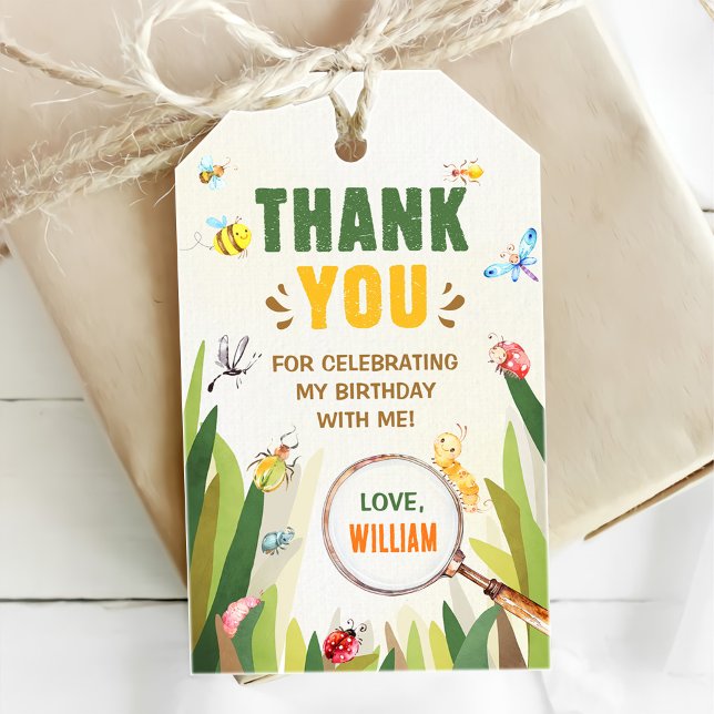 Étiquettes-cadeau Aquarelle Bug Insect Boy Anniversaire (Créateur téléchargé)