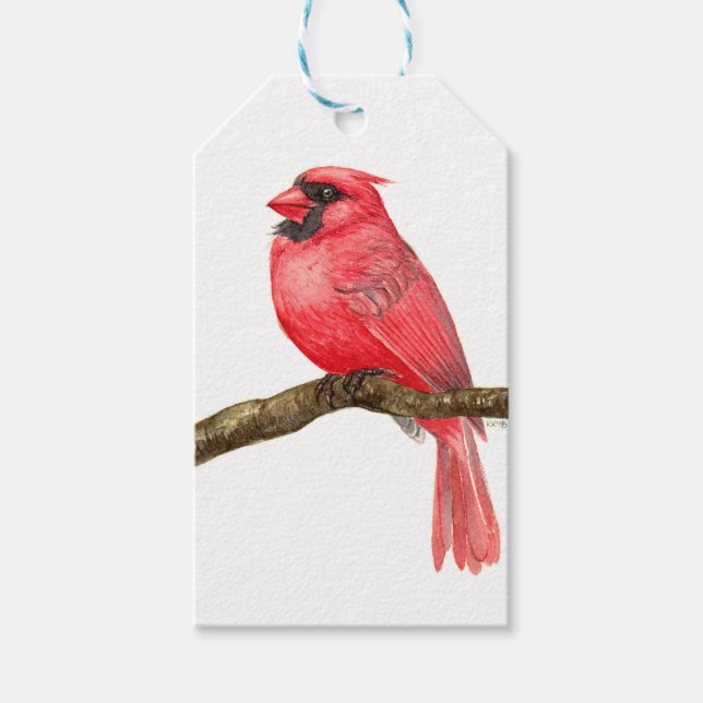 Étiquettes-cadeau Aquarelle cardinale (Devant)