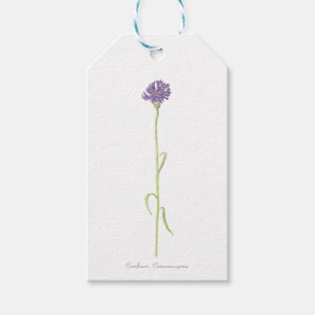 Étiquettes-cadeau Aquarelle de Cornflower (Devant)