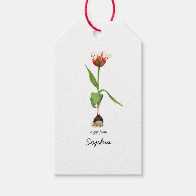 Étiquettes-cadeau Aquarelle Tulip Fleur de printemps Joyeux annivers (Devant)