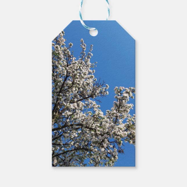 Étiquettes-cadeau Arbre à pomme à fleurs printanières (Devant)