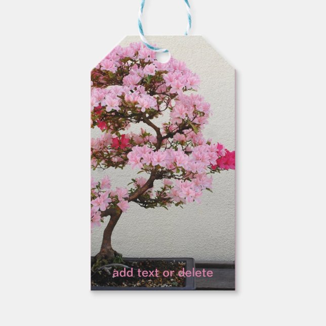 Étiquettes-cadeau Arbre bonsaï (Devant)