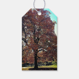 Étiquettes-cadeau Arbre d'automne