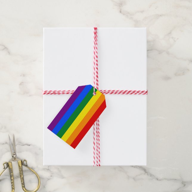Étiquettes-cadeau Arc-en-ciel LGBT Pride (Avec de la ficelle)