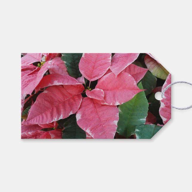 Étiquettes-cadeau Argent Star Marbre Poinsettias Pink Holiday Floral (Devant (Horizontal))
