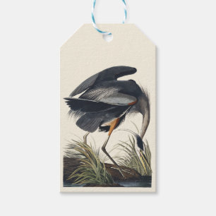 Étiquettes-cadeau Art de la nature de l'aigrette bleue d'Audubon vin