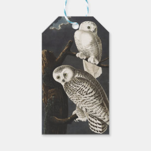 Étiquettes-cadeau Art oiseau de nuit vintage de la chouette blanche 