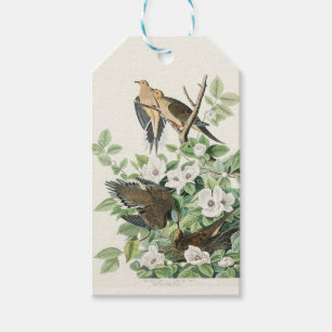 Étiquettes-cadeau Art vintage Audubon Tourterelle triste Fleur d'ois