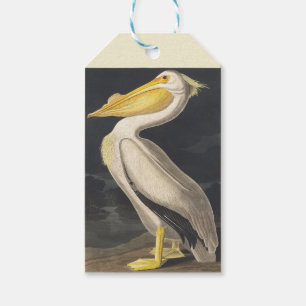 Étiquettes-cadeau Art vintage d'Audubon représentant le Pélican blan