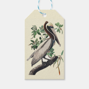 Étiquettes-cadeau Art Vintage d'Oiseau Marin Côtier Pélican Brun d'A