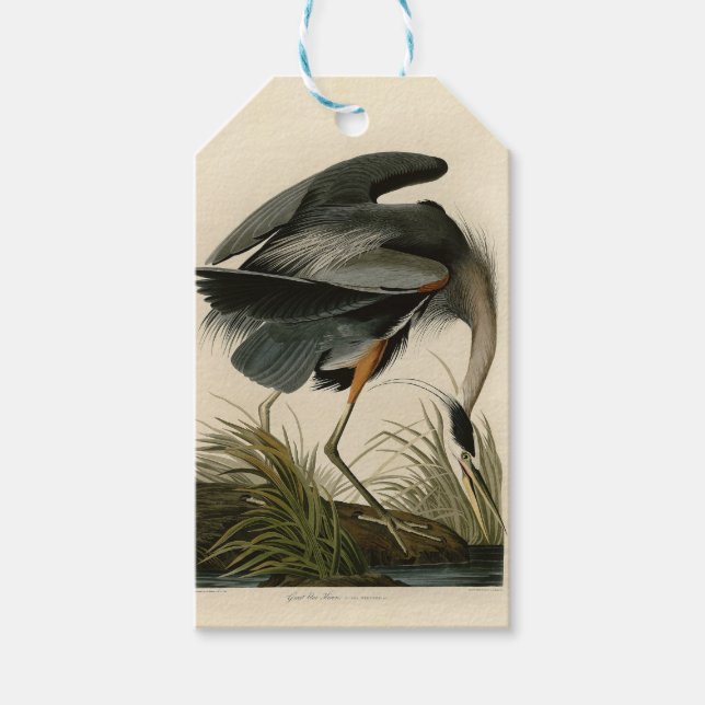 Étiquettes-cadeau Audubon Great Blue Heron Marsh Bird (Devant)