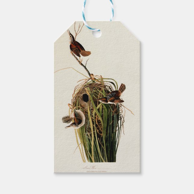 Étiquettes-cadeau Audubon Marsh Wren Bird Art (Devant)