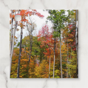 Étiquettes Cadeau Automne dans la forêt Colorée Photographie d'autom