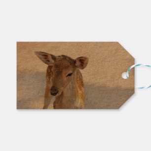 Étiquettes-cadeau Baby Deer