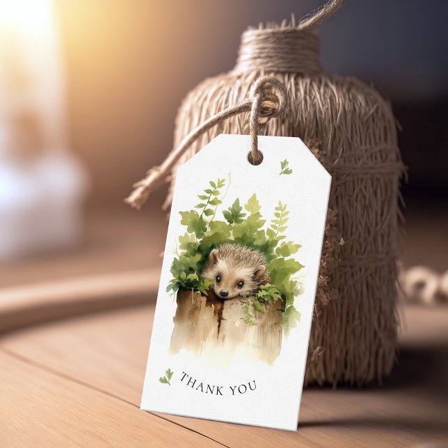 Étiquettes-cadeau Baby shower de hérisson pour bébé aquarelle (Créateur téléchargé)