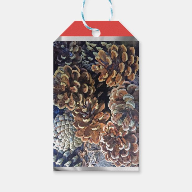 Étiquettes-cadeau Balise cadeau cône de pin (Devant)