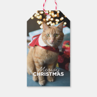 Étiquettes-cadeau Balise cadeau de chat de Noël Meowy