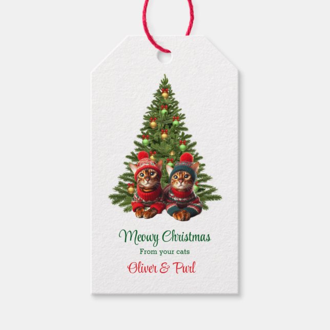 Étiquettes-cadeau Balise cadeau de Noël de vos chats (Devant)