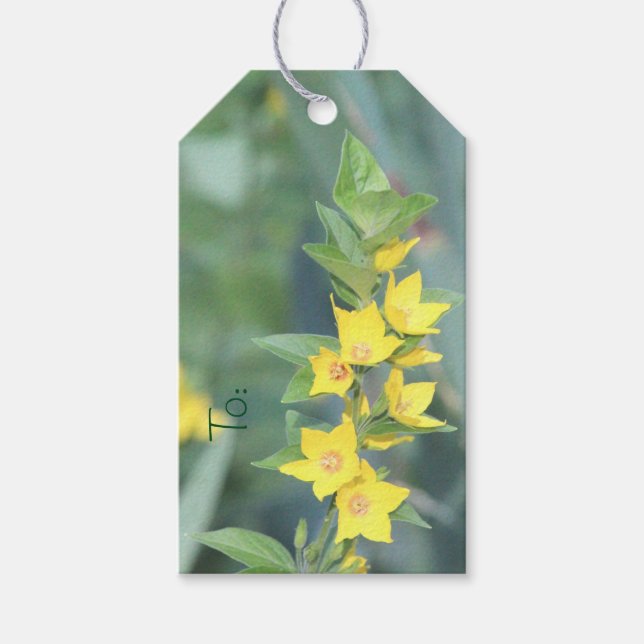 Étiquettes-cadeau Balise cadeau Floral Jaune (Devant)
