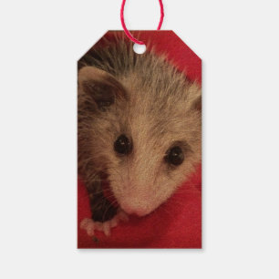 Étiquettes-cadeau Balise cadeau Paulee Possum
