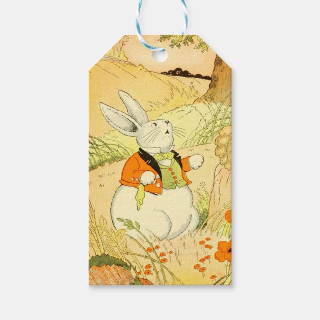 Étiquettes-cadeau Balise cadeau Peter Rabbit (Devant)