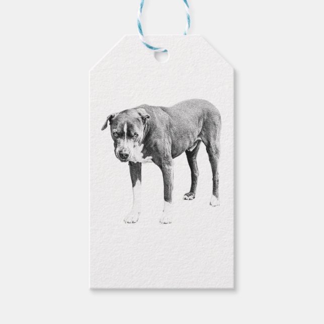 Étiquettes-cadeau Balise cadeau Pit Bull (Devant)