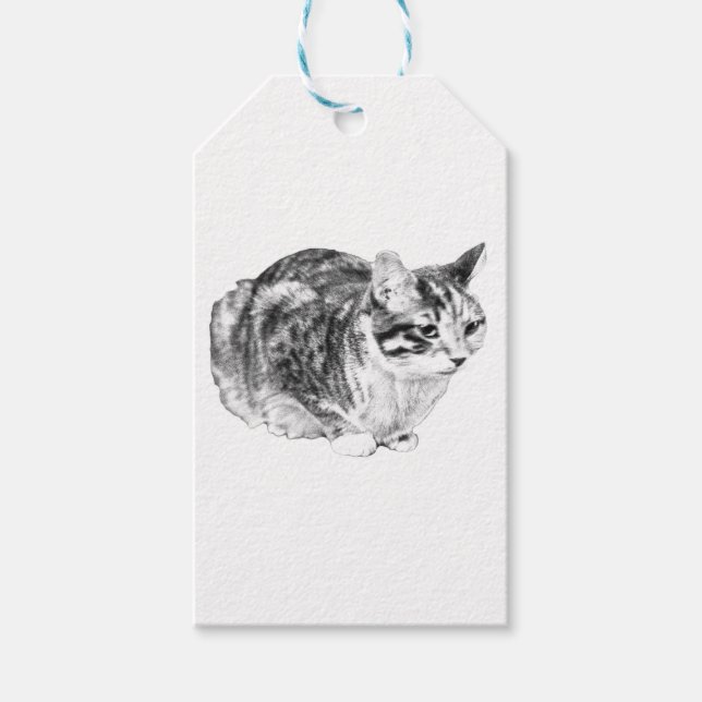 Étiquettes-cadeau Balise Cadeau Tabby, Finition Joyeuse (Devant)