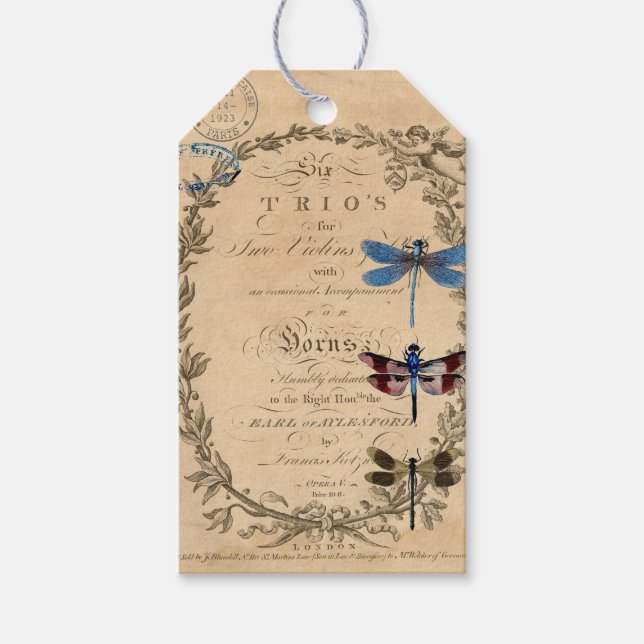Étiquettes-cadeau Balise Journal d'art de Dragonfly Ephemera (Devant)