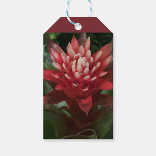 Étiquettes-cadeau Balises Cadeau Fleur Rouge (Devant)
