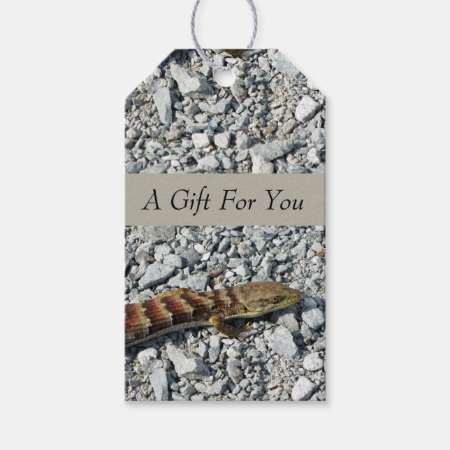 Étiquettes-cadeau Balises cadeaux Alligator Lizard (Devant)