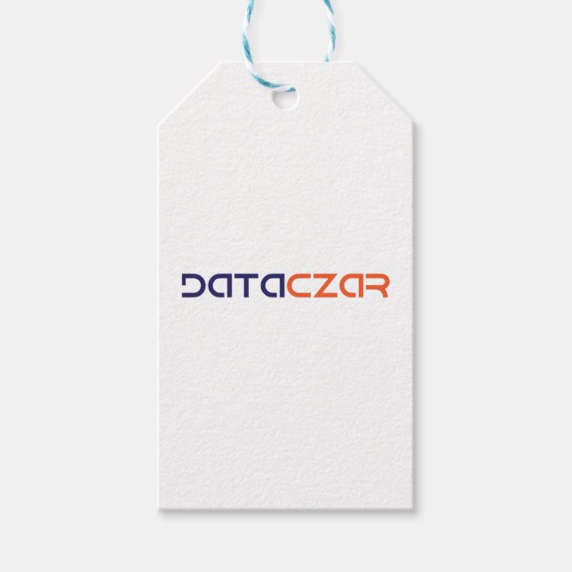 Étiquettes-cadeau Balises cadeaux Bleu et blanc Twin (Devant)