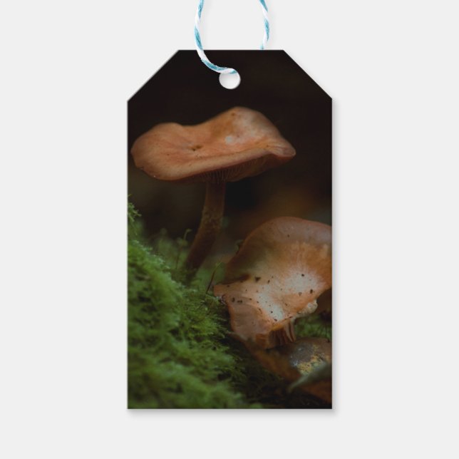 Étiquettes-cadeau Balises cadeaux de champignons (Devant)
