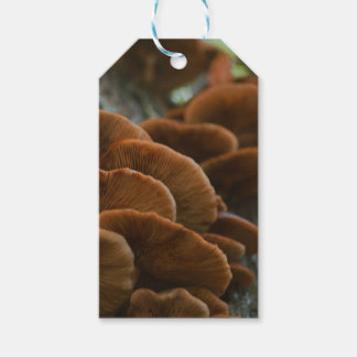 Étiquettes-cadeau Balises cadeaux de champignons