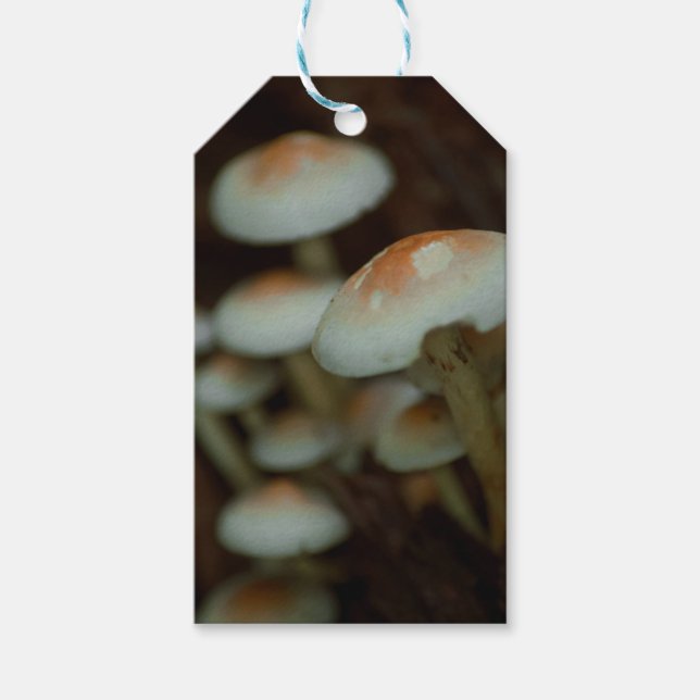 Étiquettes-cadeau Balises cadeaux de champignons (Devant)