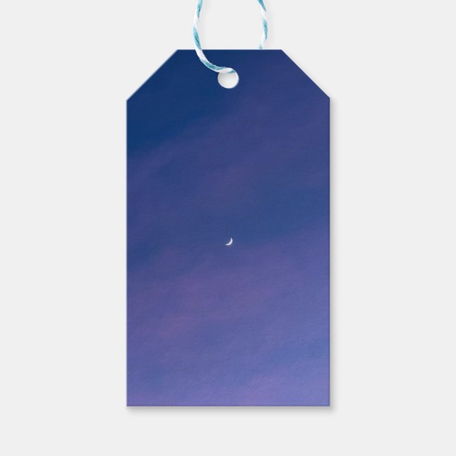 Étiquettes-cadeau Balises cadeaux de lune (Devant)