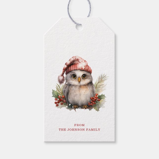 Étiquettes-cadeau Balises cadeaux de Noël Owl (Devant)