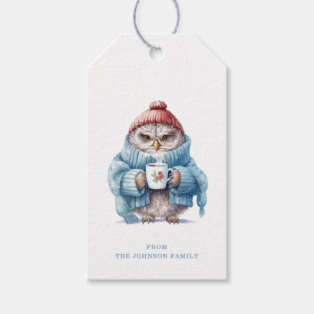 Étiquettes-cadeau Balises cadeaux de Noël Owl (Devant)