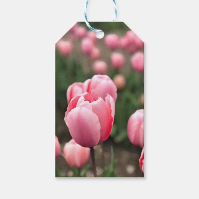 ÉTIQUETTES-CADEAU BALISES CADEAUX TULIP (Devant)