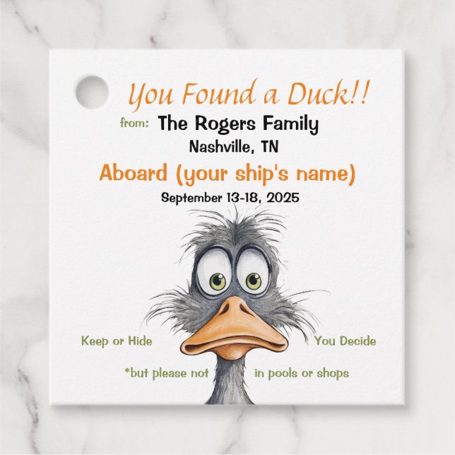 Étiquettes Cadeau Balises Funny Cruising Duck (Devant)