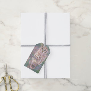 Étiquettes-cadeau Barred Owl Pastel Peinture numérique d'huile