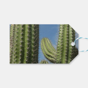 Étiquettes-cadeau Barrel Cactus I Desert Photo
